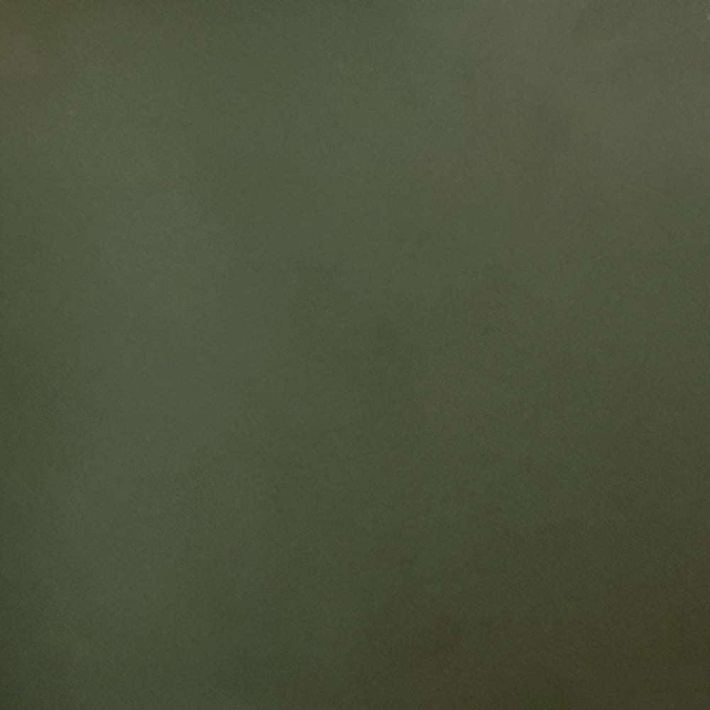 BLM26_Matte_Ranger_Green_Swatch_Matte Ranger Green