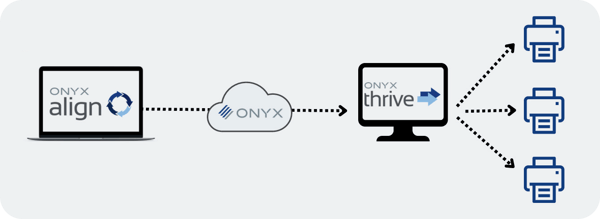 Onyx Align_Digital Ecosystem