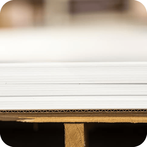 Grimco's 6 Days of Christmas 2024 Day 6